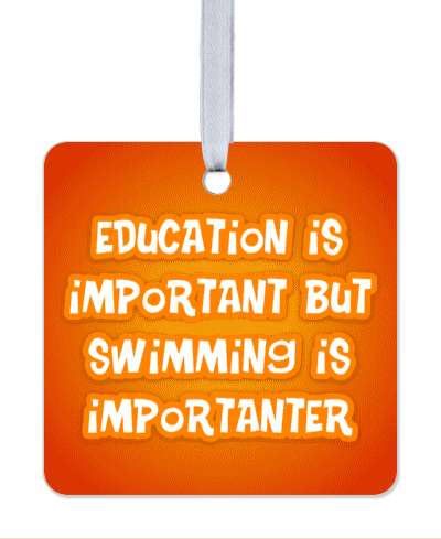 orange gradient education is important but swimming is importanter funny wordplay stickers, magnet