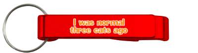 orange i was normal three cats ago stickers, magnet