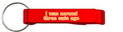 orange i was normal three cats ago stickers, magnet