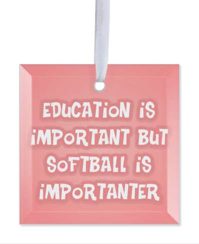 pink education is important but softball is importanter word play funny gradient stickers, magnet