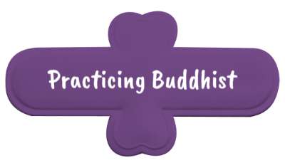 practicing buddhist buddha mindfulness wisdom stickers, magnet