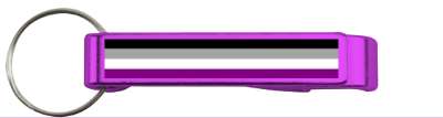 pride flag asexual stickers, magnet