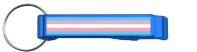 pride flag transgender stickers, magnet