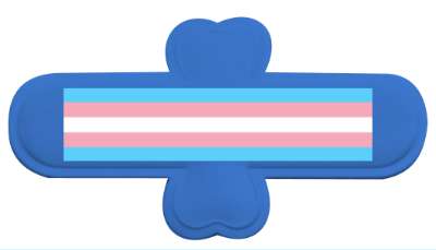 pride transgender stickers, magnet