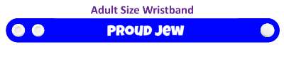 proud jew judaism jewish pride stickers, magnet