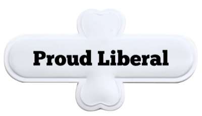 proud liberal american stickers, magnet