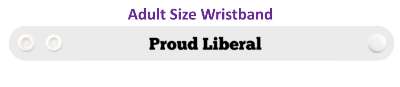 proud liberal usa stickers, magnet