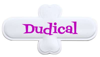 radical dudical dude cool stickers, magnet