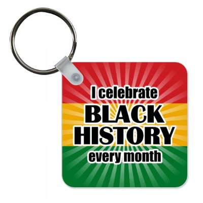 rays burst i celebrate black history every month stickers, magnet