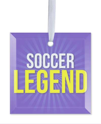 rays soccer legend stickers, magnet