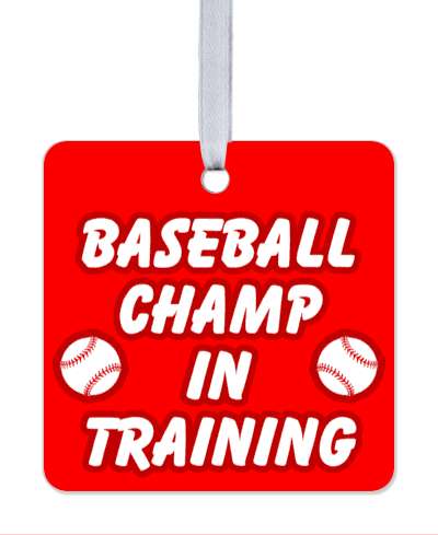 red white baseball champ in training stickers, magnet