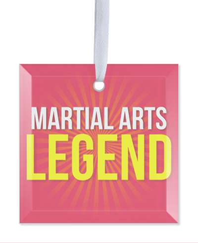 red white yellow martial arts legend rays stickers, magnet