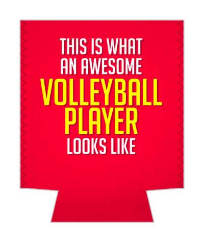 red white yellow this is what an awesome volleyball player looks like stickers, magnet
