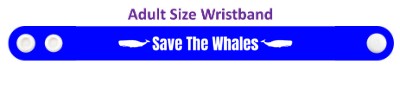 save the whales stickers, magnet