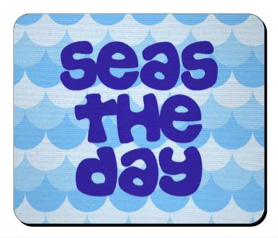 seas the day seize the day funny pun stickers, magnet