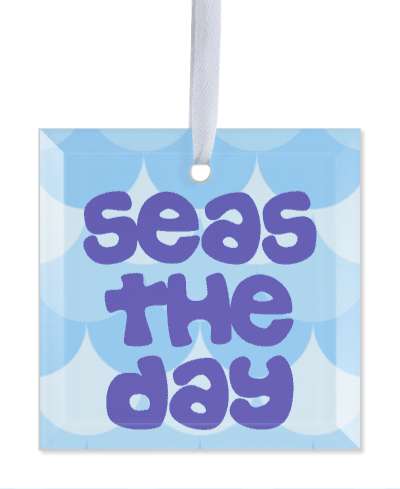 seas the day water carpe diem seize water waves stickers, magnet