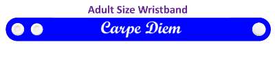 seize day carpe diem value the moment cursive stickers, magnet