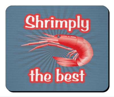 shrimply the best wordplay funny stickers, magnet