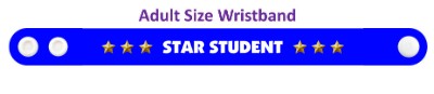 star student gold stars stickers, magnet