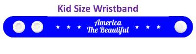 support america the beautiful stars stickers, magnet