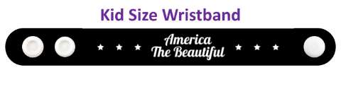 support america the beautiful stars stickers, magnet