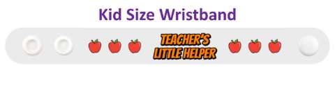 teachers little helper apples stickers, magnet