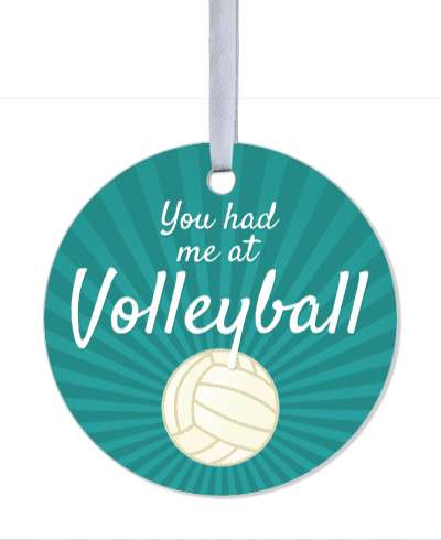 teal rays you had me at volleyball stickers, magnet