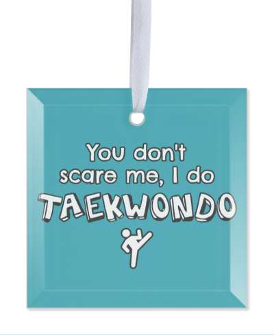 teal you dont scare me i do taekwondo sports stickers, magnet
