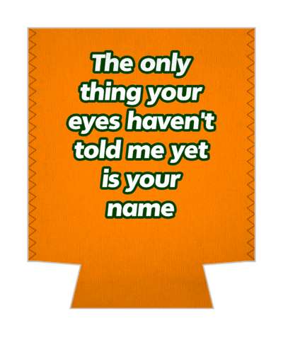 the only thing your eyes havent told me yet is your name pickup line stickers, magnet