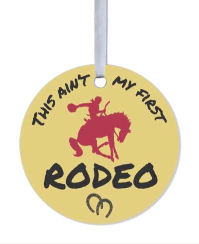 this aint my first rodeo horse rider silhouette stickers, magnet