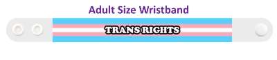 trans rights transgender colors stickers, magnet