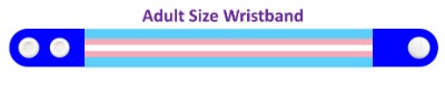 transgender pride stickers, magnet