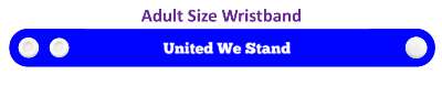 united we stand america usa values stickers, magnet