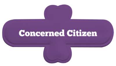 usa concerned citizen stickers, magnet