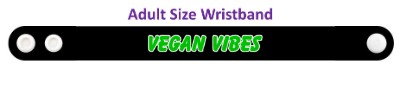 vegan vibes stickers, magnet