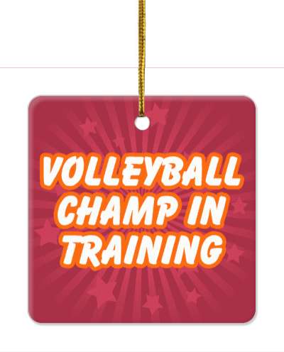 volleyball champ in training rays red stickers, magnet