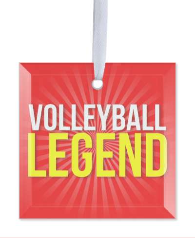volleyball legend red rays yellow stickers, magnet