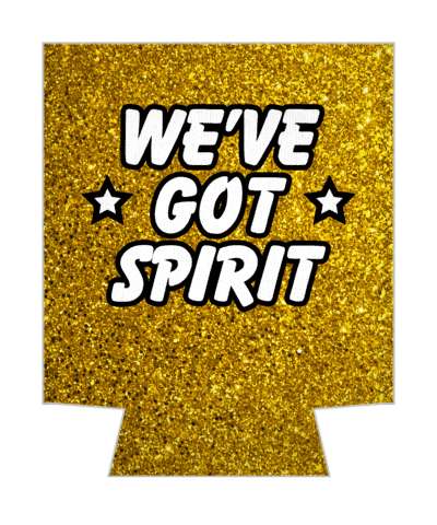 weve got spirit stars cheerleader saying stickers, magnet