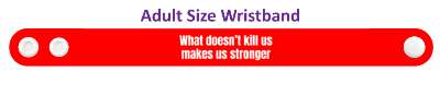 what doesnt kill us makes us stronger wisdom stickers, magnet