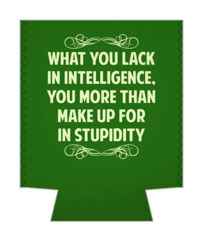 what you lack in intelligence you more than make up for in stupidity witty insults stickers, magnet