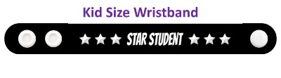 white star student reward stickers, magnet