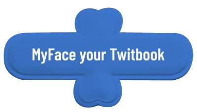 wordplay myface your twitbook facebook twitter stickers, magnet