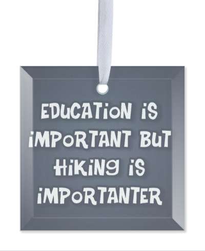 wordplay saying education is important but hiking is importanter funny stickers, magnet
