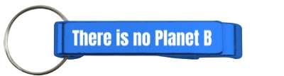 wordplay there is no planet b stickers, magnet