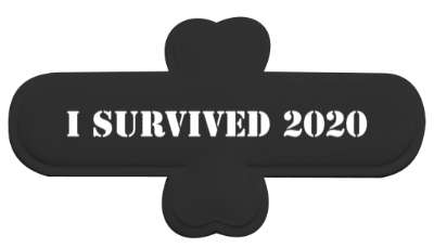year i survived 2020 stickers, magnet