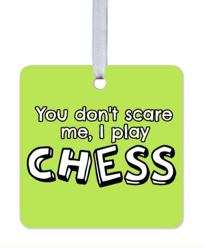you dont scare me i play chess light green stickers, magnet