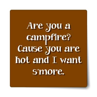are you a campfire cause you are hot and i want smore sticker