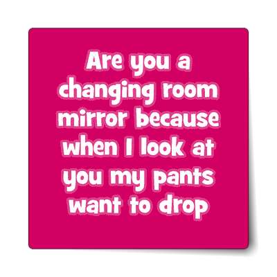 are you a changing room mirror because when i look at you my pants want to 