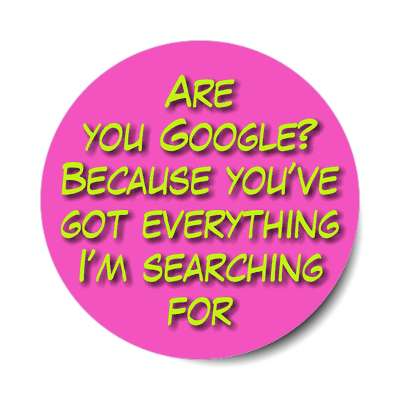are you google because youve got everything im searching for sticker