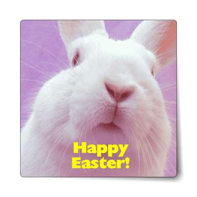 big bunny sticker